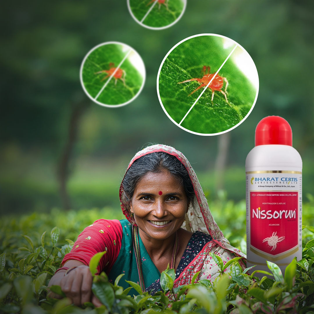 Protecting Tea